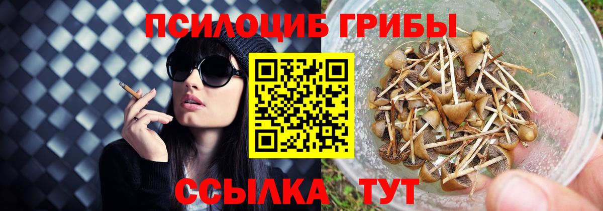 Ипатово  Псилоцибиновые грибы Psilocybe  Галлюциногенные грибы Psilocybine cubensis  Вход с VPN 